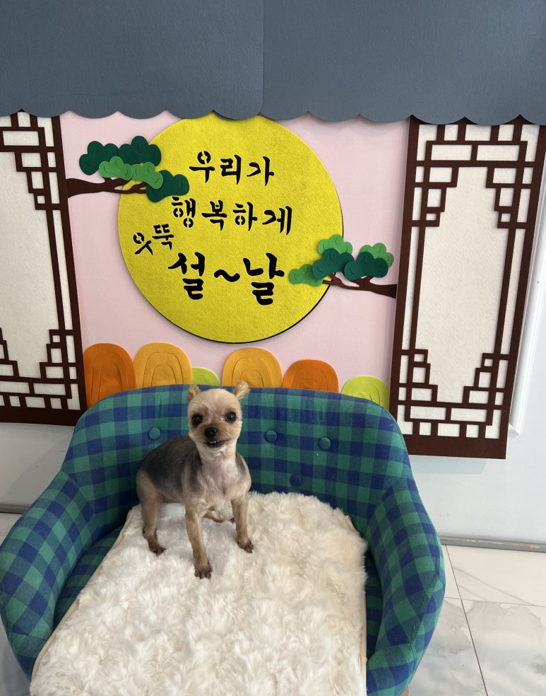요미살롱 이미지