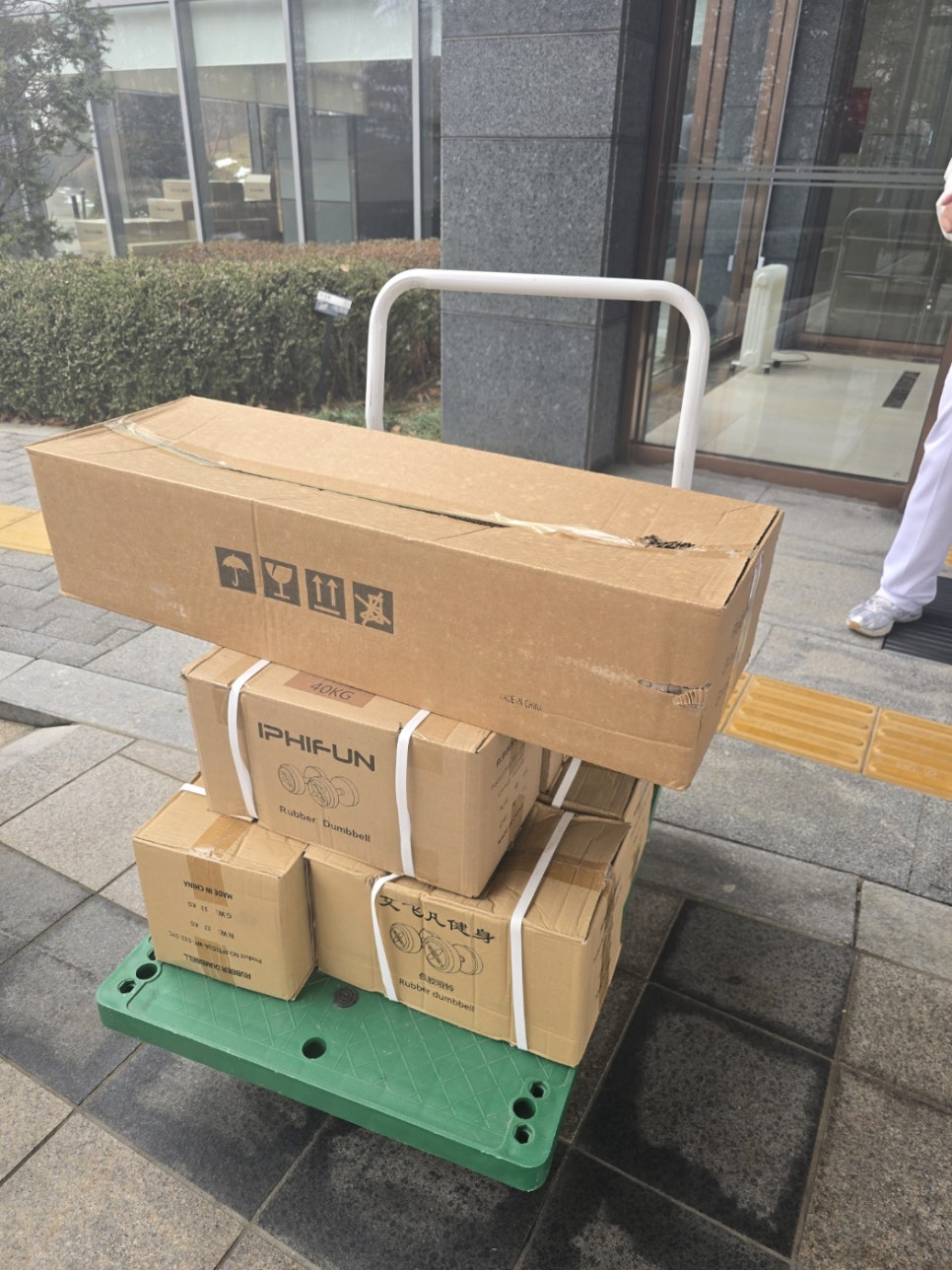 보딕스포메디 이미지