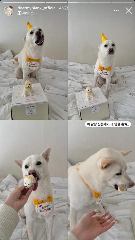 마이블랭크데이 이미지