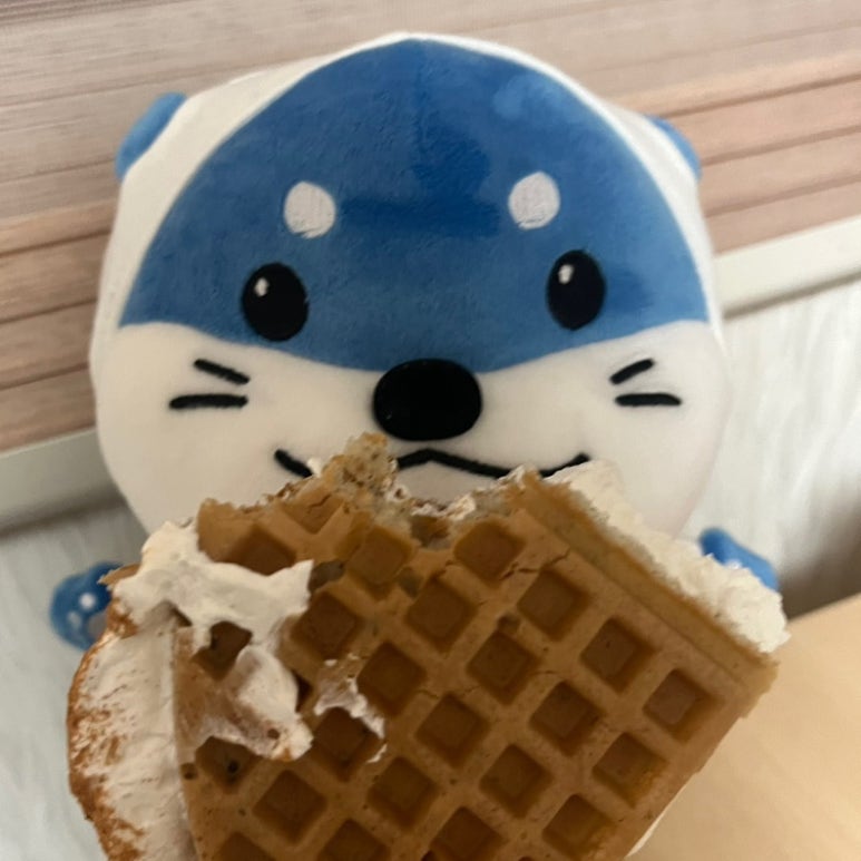 시바와플 이미지