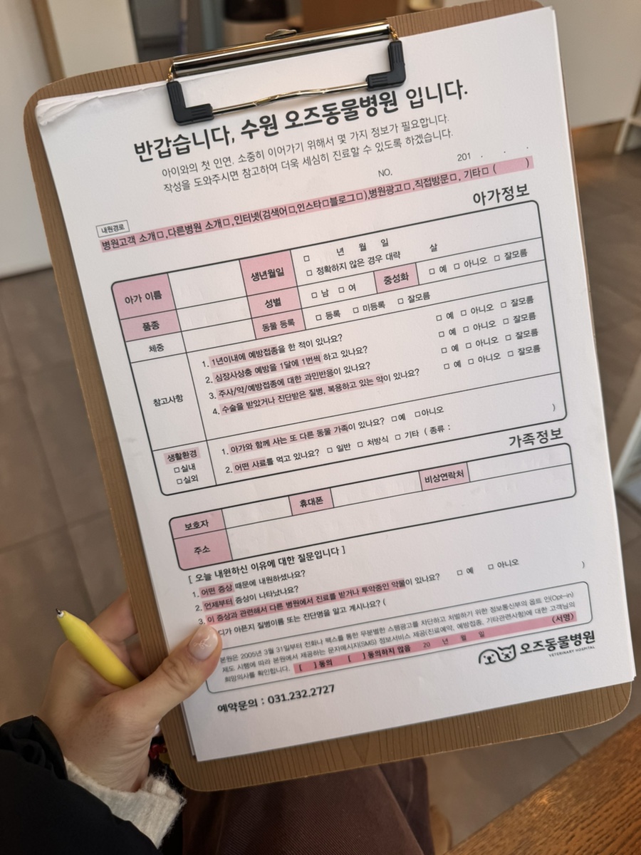 수원 강아지 건강검진: 오즈동물병원 과잉진료 없는 후기 — 사진 2