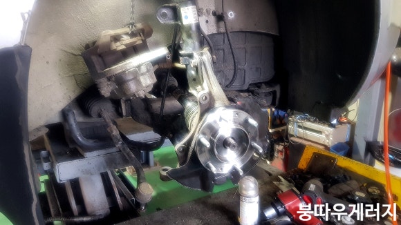 붕따우게러지 이미지
