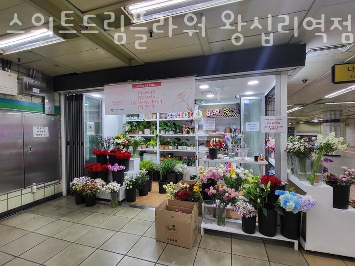 스위트드림플라워 이미지