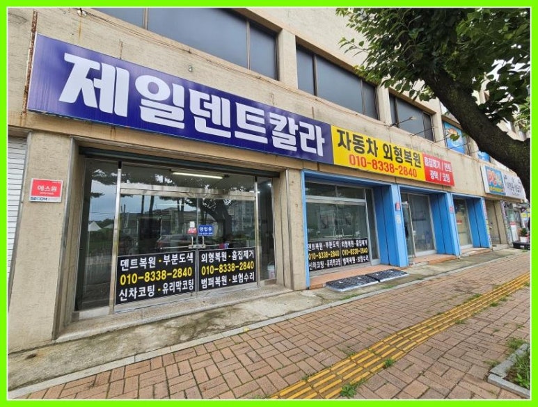덴트칼라 이미지
