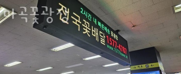 마곡꽃광장 이미지