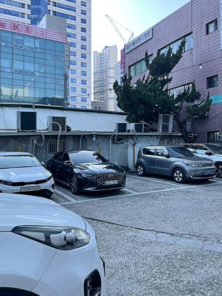 대구만두 반월당점 이미지
