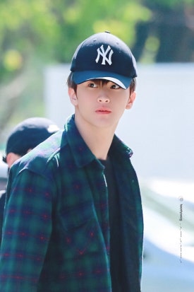 도레미 이미지