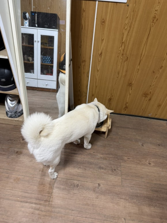 저스트홀스 이미지