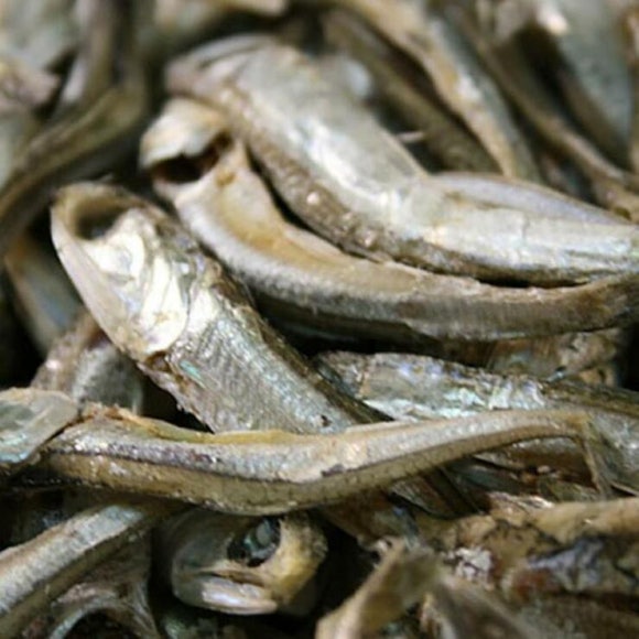 남해안멸치 이미지