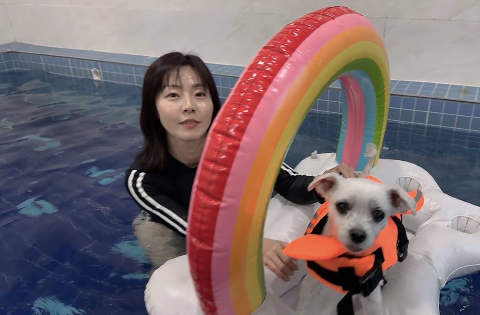 골드스푼애견풀빌라 이미지