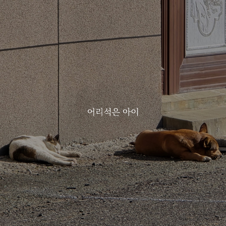 몽유 이미지