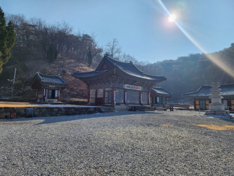 일미본가 이미지
