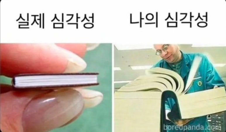 우자 이미지