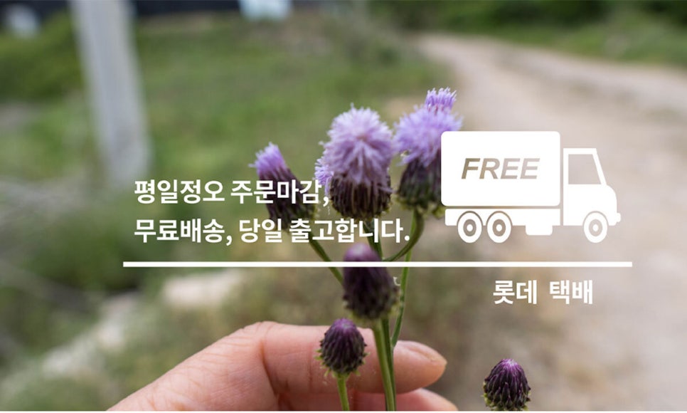 버섯놀이터변산농장 이미지
