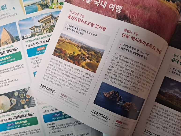 우리행정사사무소·여행사 이미지