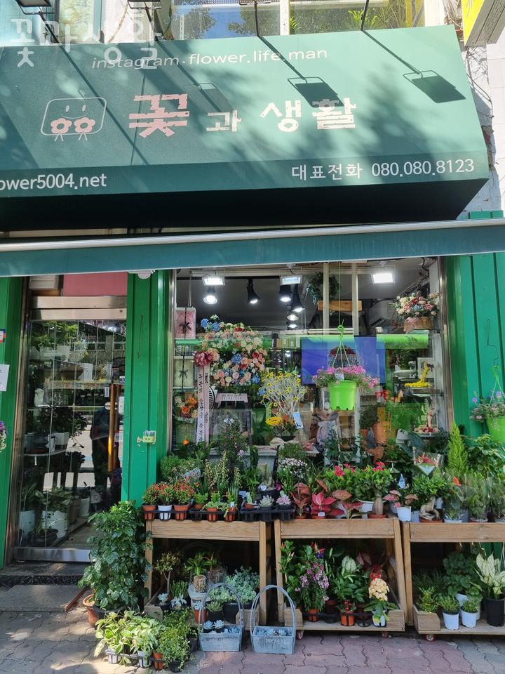 꽃과생활 이미지