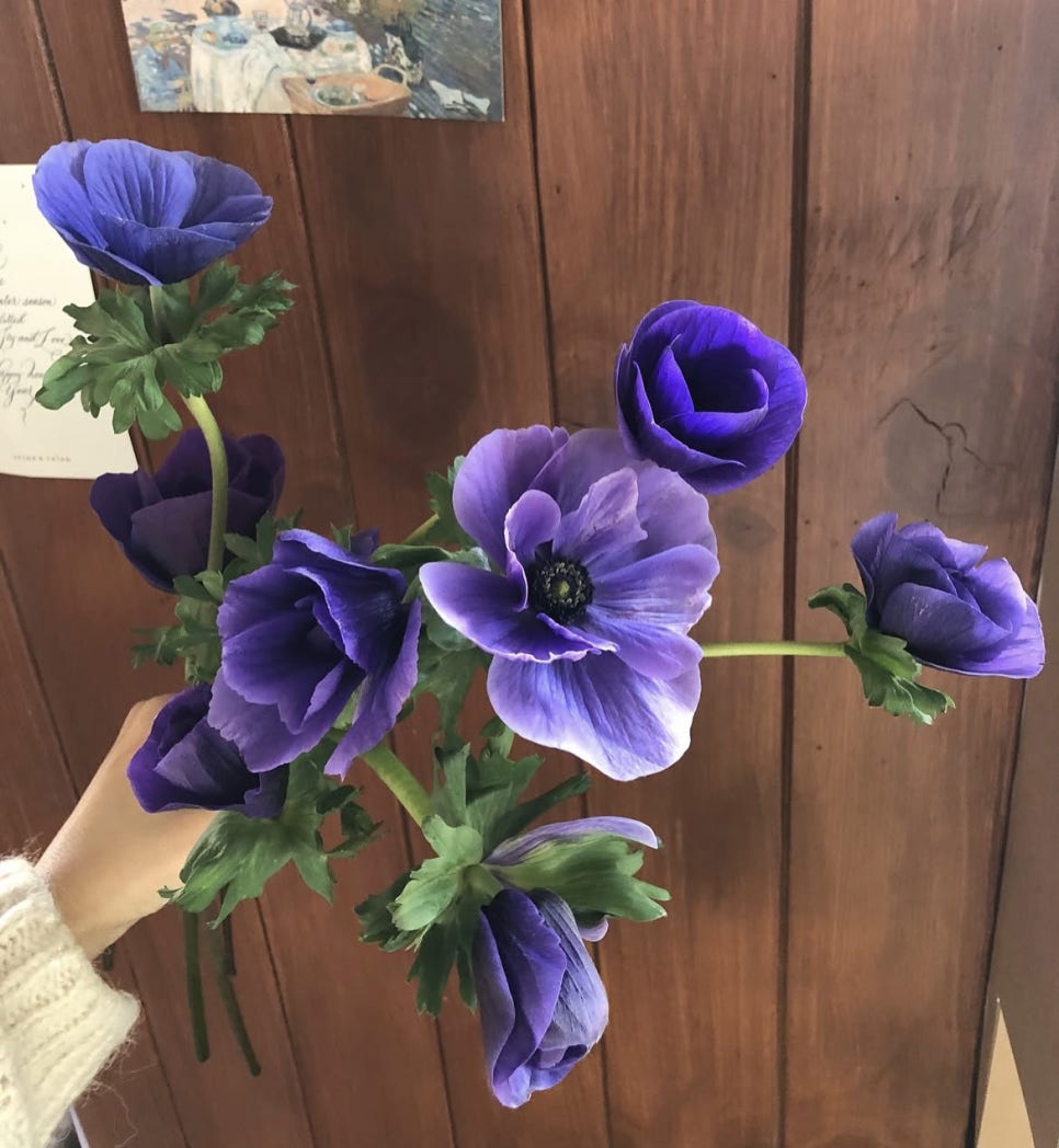 세느앤발렌 이미지