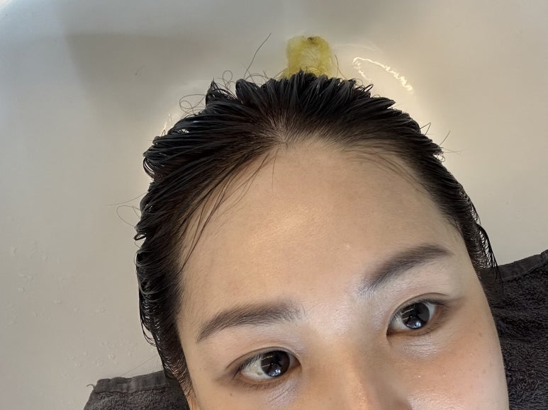 엘시크 이미지