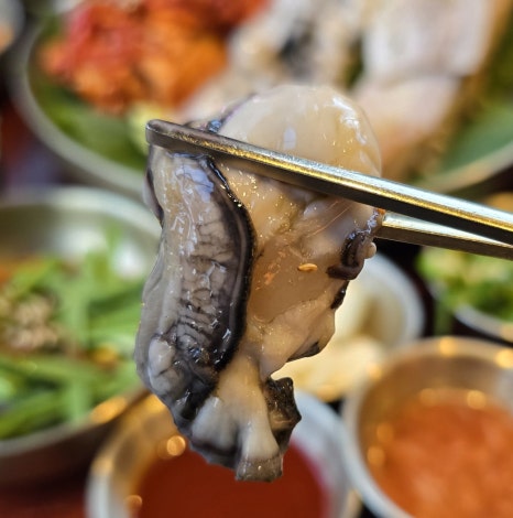 옴그족발광주 이미지