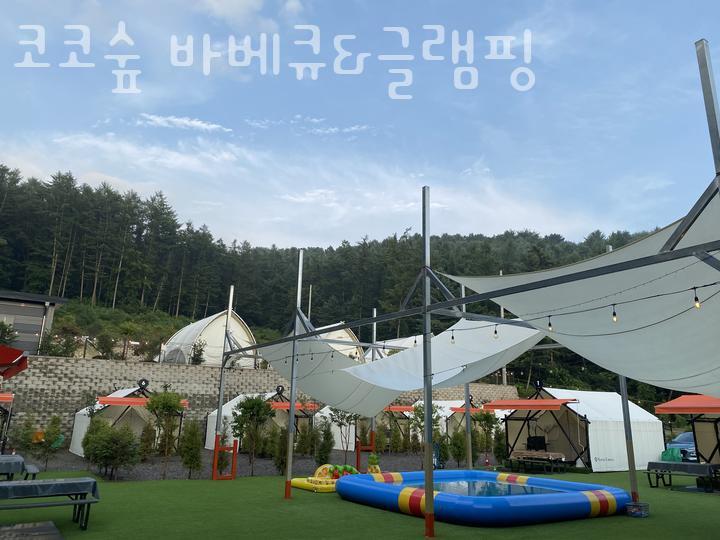 코코숲 이미지