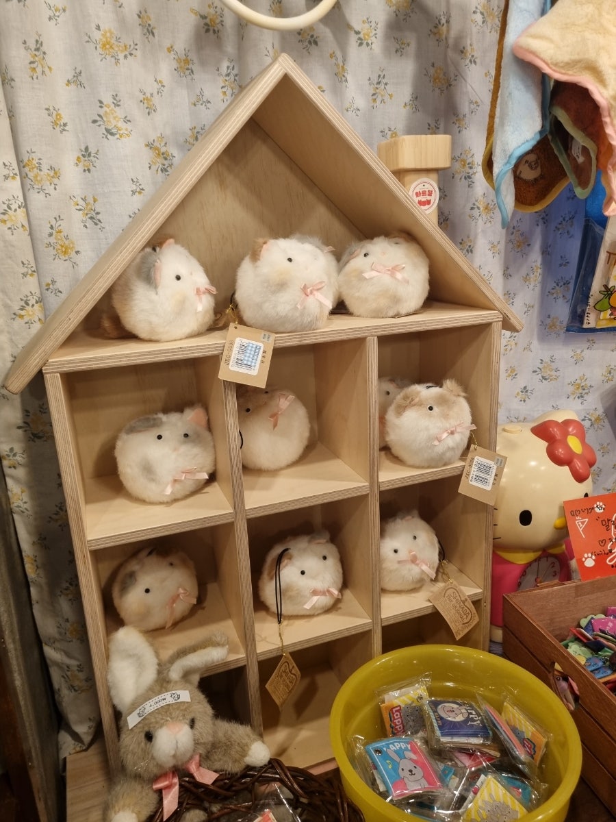 화르곰 이미지
