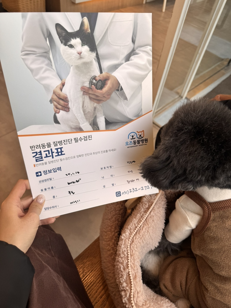 수원 강아지 건강검진: 오즈동물병원 과잉진료 없는 후기 — 사진 16