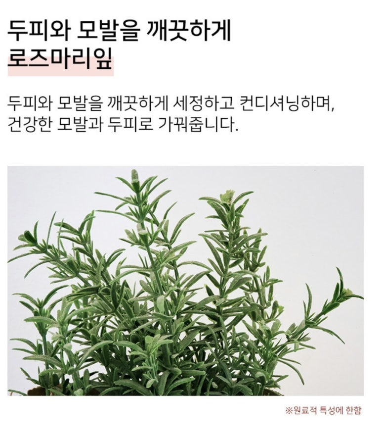 킴스시스템 이미지