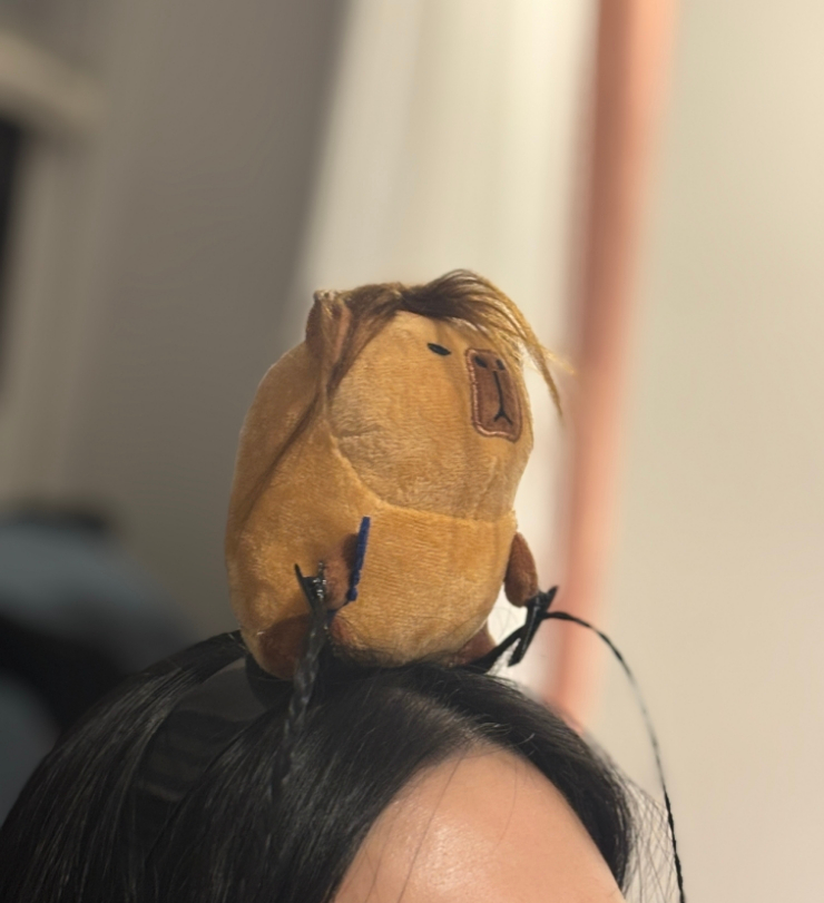 글로카로카 이미지