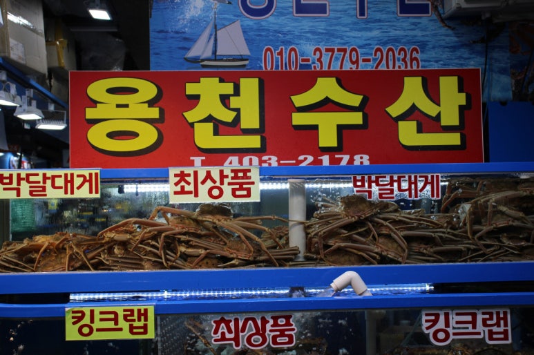 진미수산 이미지