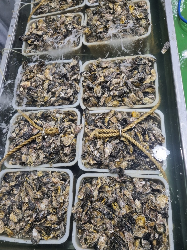덕포수산 이미지
