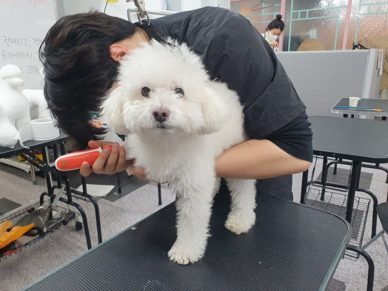미용회관 이미지