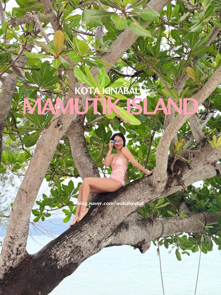 코타투어(Kota tour) 이미지
