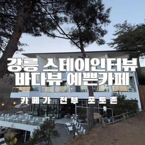 바다;스테이 이미지