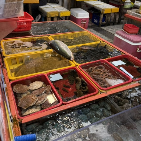 철이상회 이미지