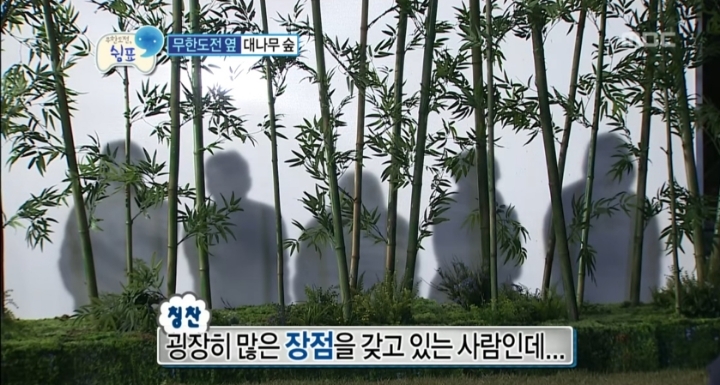 앙큼한언니 이미지