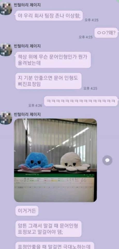 미미짱 이미지