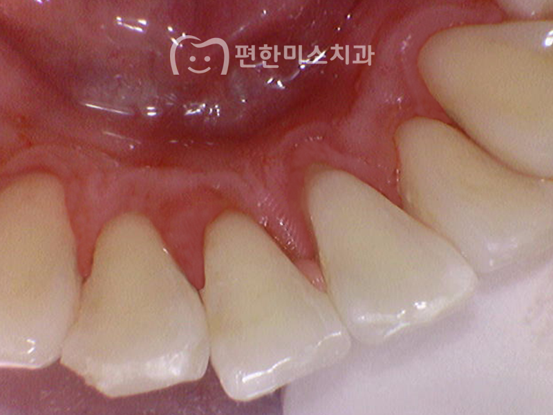 편한미소치과의원 이미지