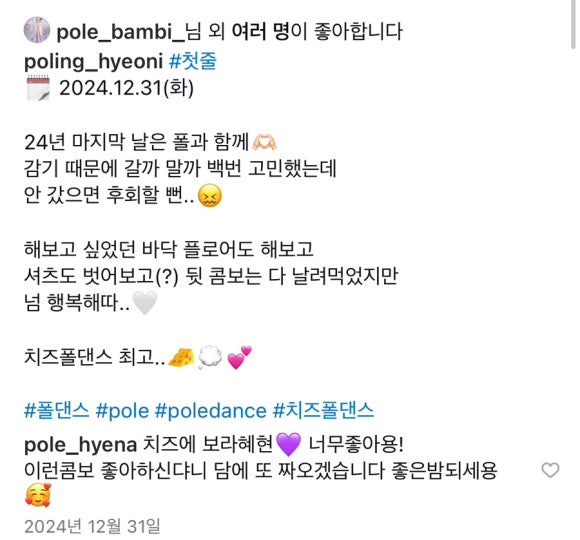 치즈폴댄스 이미지