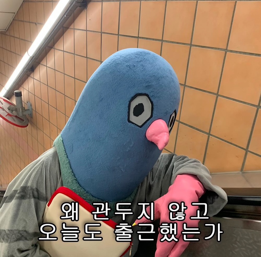 샐러드파티 이미지
