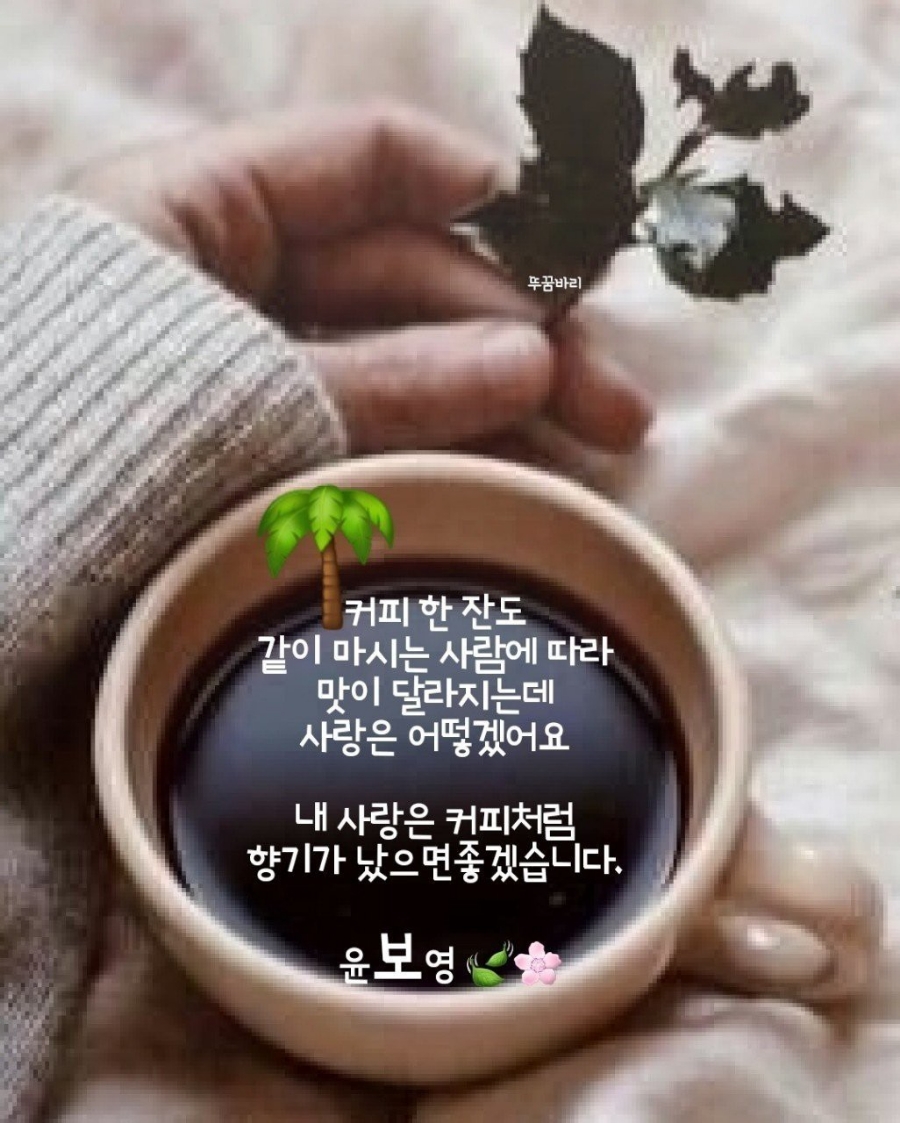 피 이미지