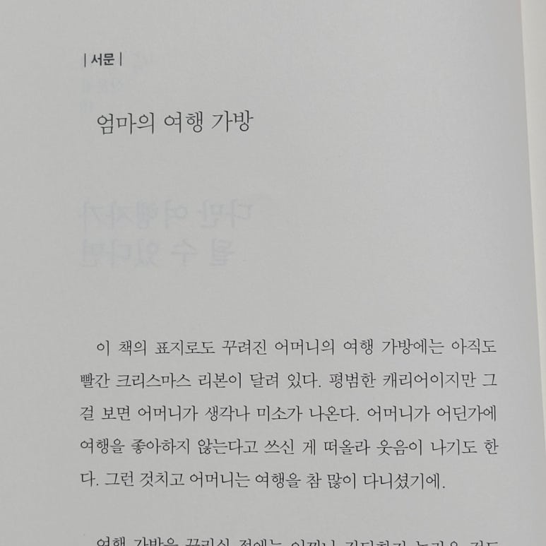 빛나수선 이미지
