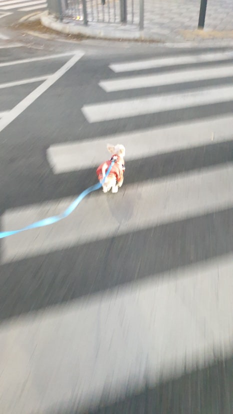 킁킁제과 이미지