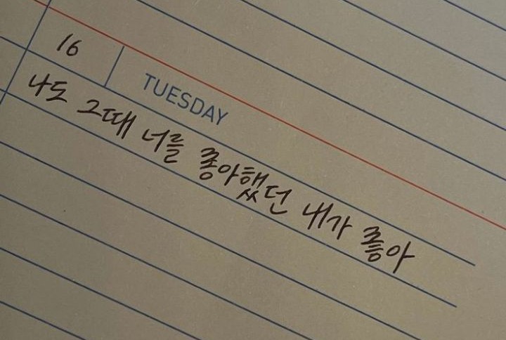 앙큼한언니 이미지
