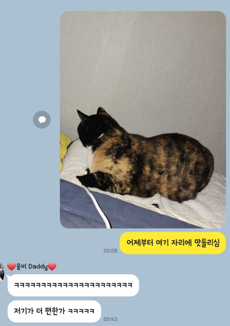 웰빙샘 이미지