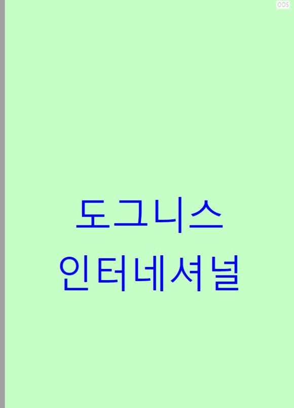 니스인터내셔날 이미지