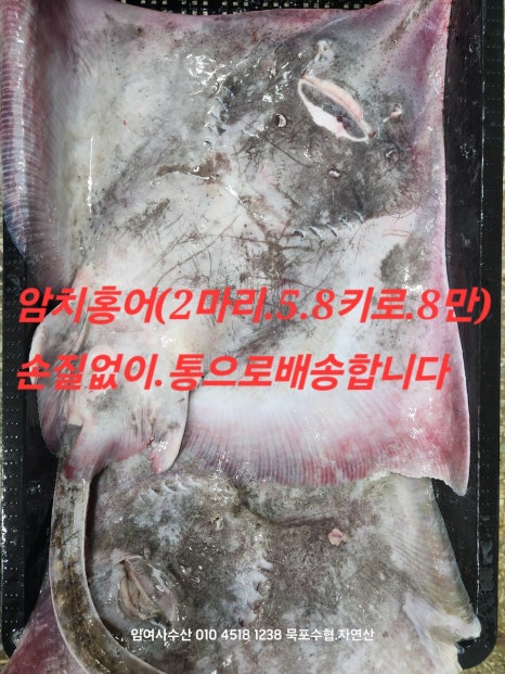 임여사수산 이미지