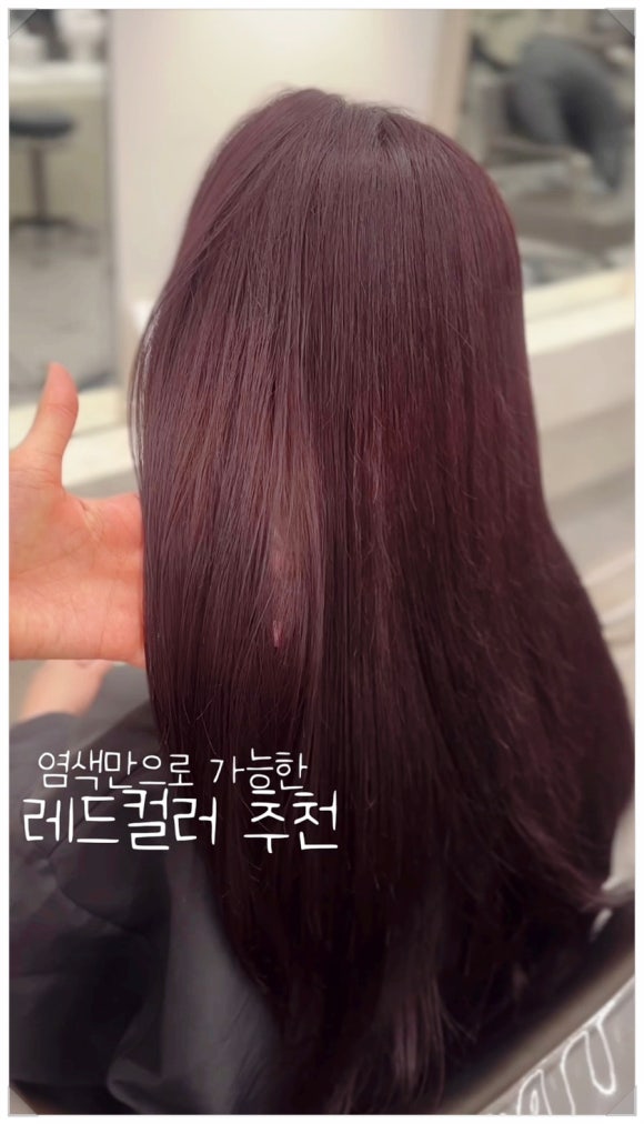 아르결 이미지