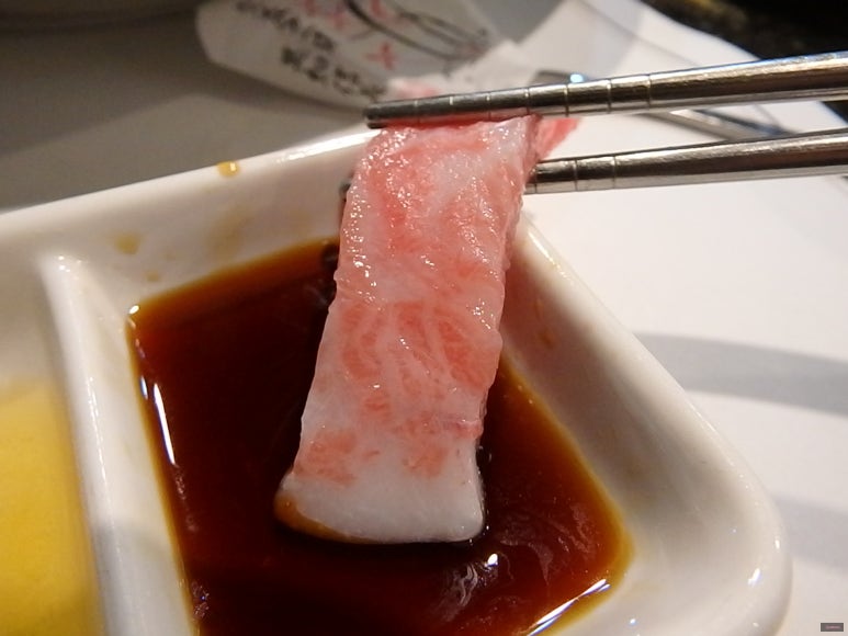 열린참치 이미지