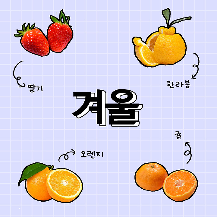 과일의모든것 이미지