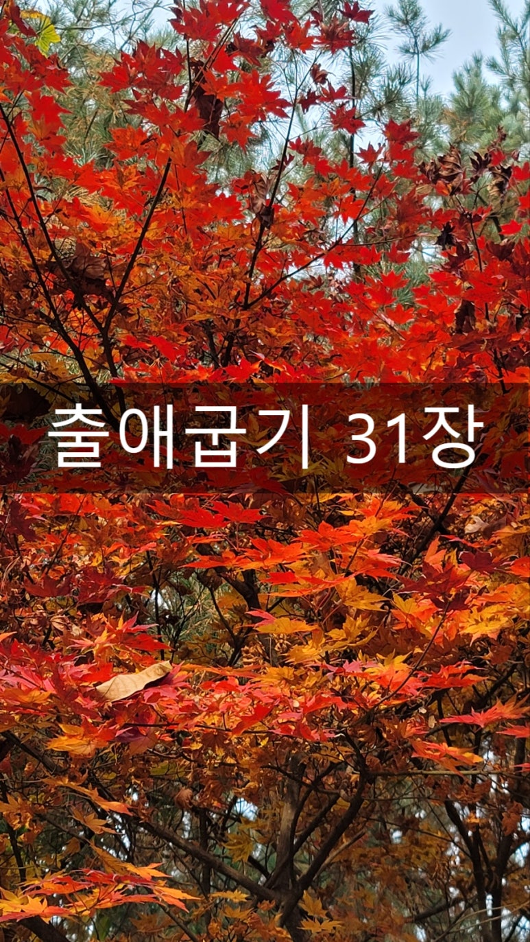 오홀리 이미지